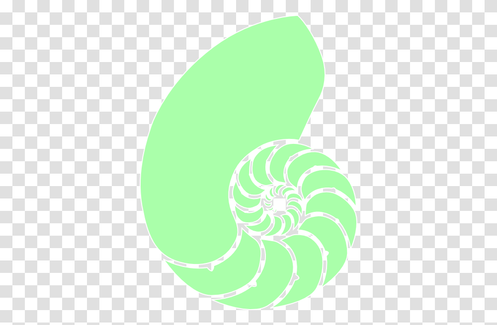 Green Nautilus Shell Clip Art, Spiral, Tennis Ball, Sport Transparent Png