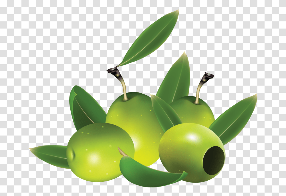 Green Olive Picture Clipart Olives, Plant, Fruit, Food, Leaf Transparent Png