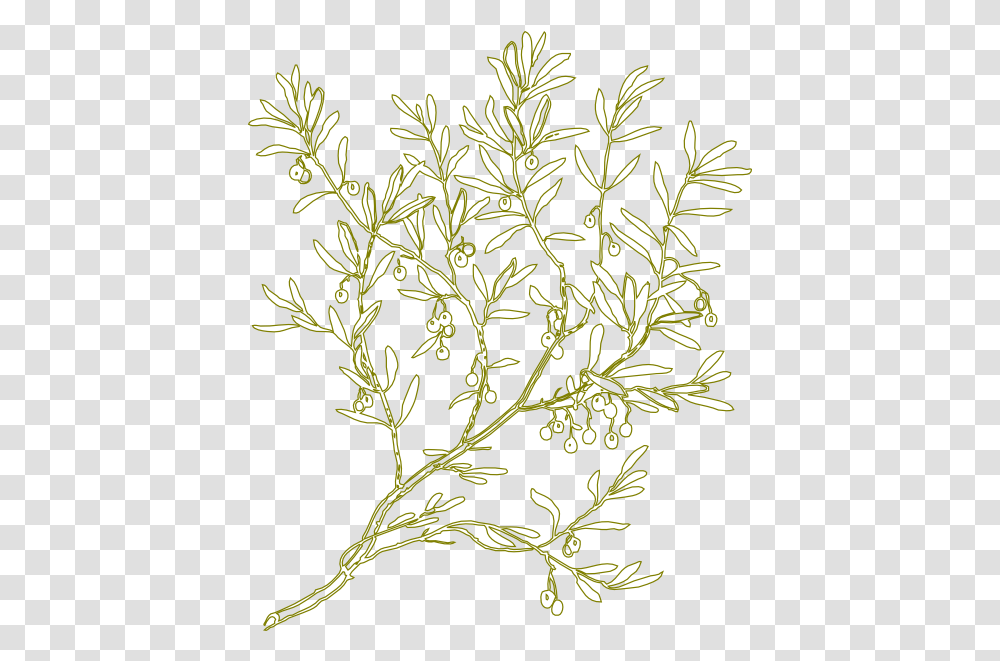 Green Olive Tree Clip Arts For Web Clip Arts Free Green Olive Tree Hi, Plant, Leaf, Flower, Pineapple Transparent Png