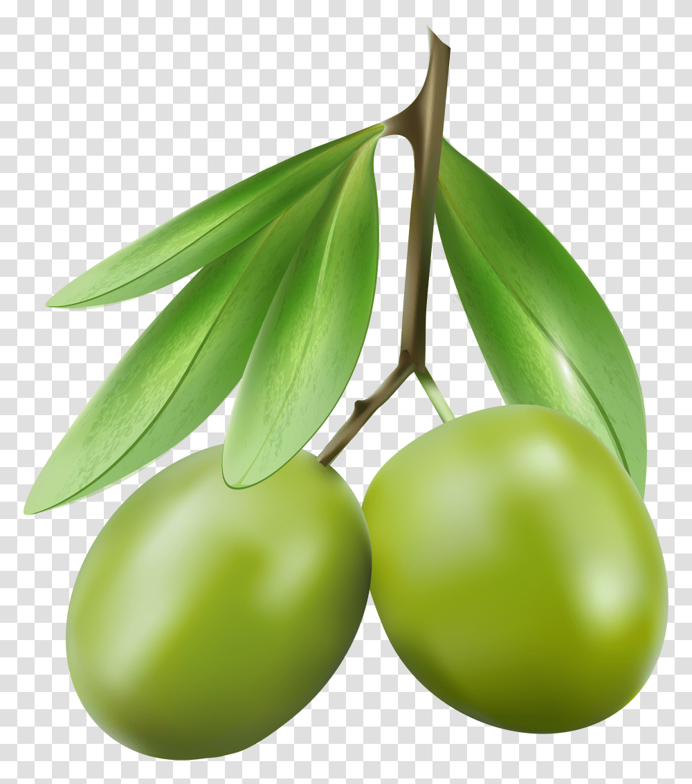 Green Olives Clip Art Transparent Png