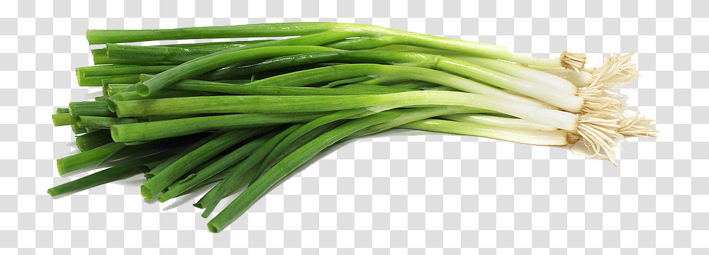 Green Onion 2 Image Green Onion, Plant, Produce, Food, Vegetable Transparent Png