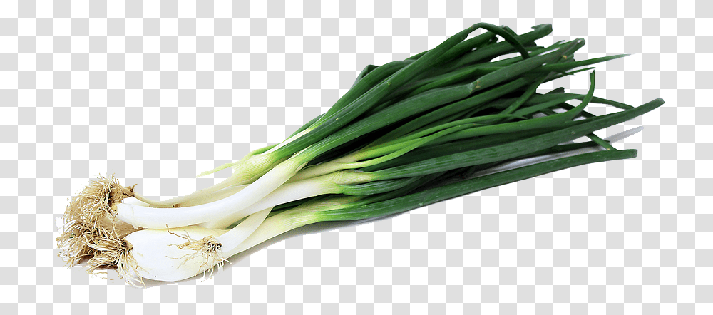 Green Onion Image Green Onion, Plant, Produce, Food, Vegetable Transparent Png