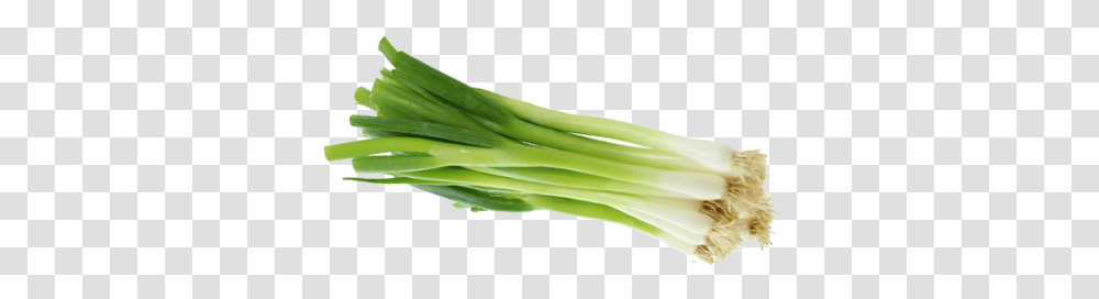 Green Onion, Plant, Produce, Food, Leek Transparent Png
