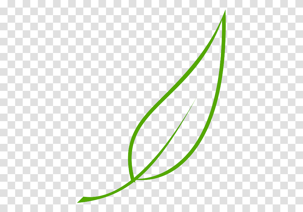 Green Outline Drawing Leaf Cartoon Free Color Vector Leaf Line Art, Plant, Grass, Food, Fruit Transparent Png