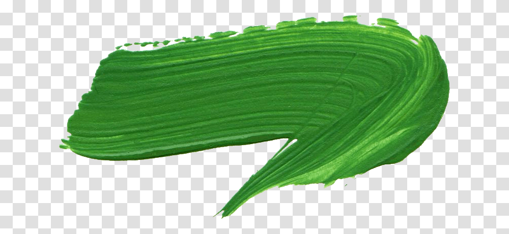 Green Paint Brush Stroke, Leaf, Plant, Flower, Rug Transparent Png
