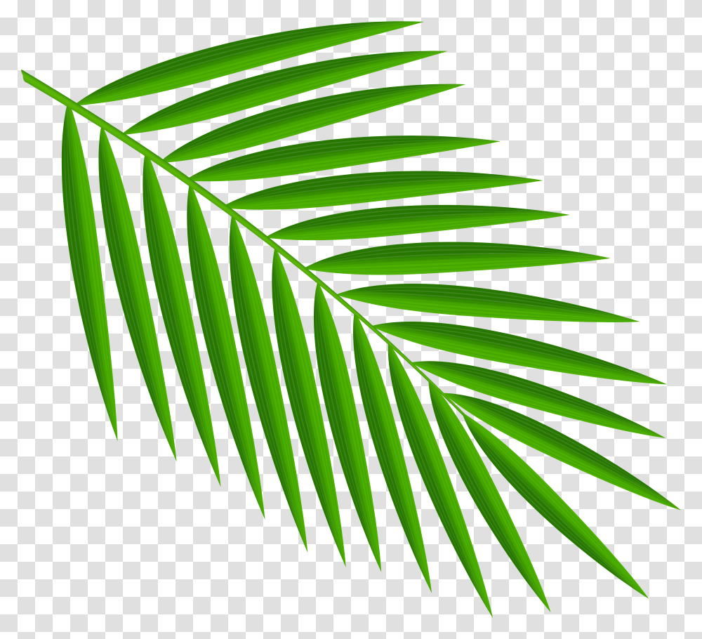 Green Palm Leaves Clipart Palm Leaf Clipart Transparent Png