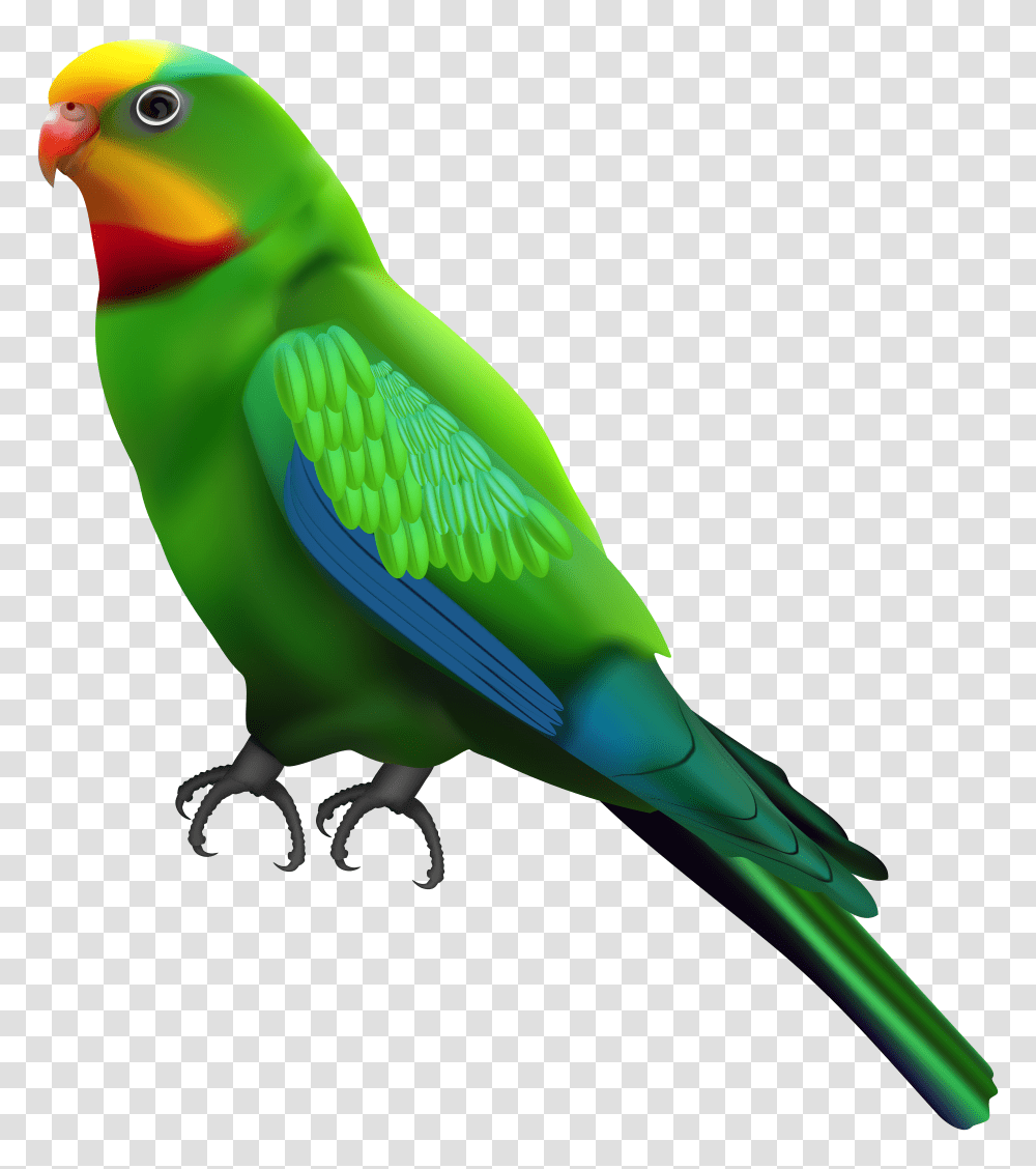 Green Parrot Clip Art Transparent Png