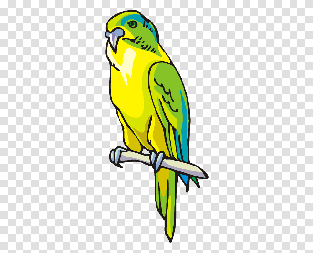 Green Parrot Cliparts, Animal, Bird, Macaw, Beak Transparent Png