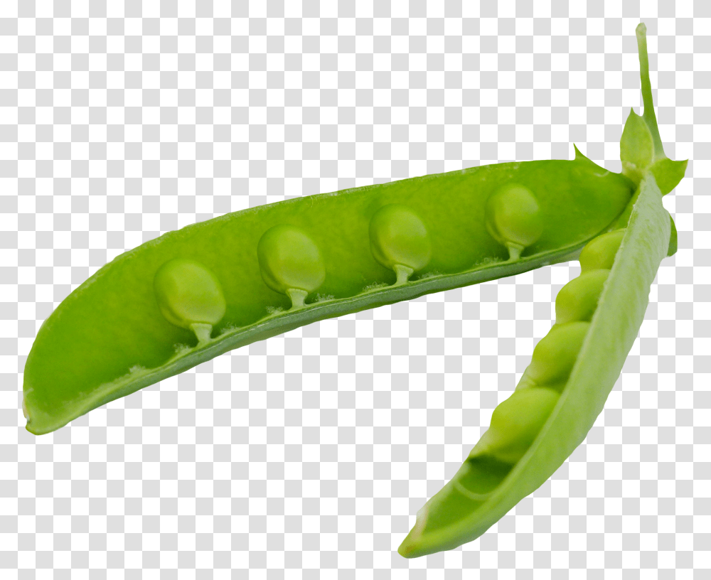 Green Peas Pods Image Pea In Pod, Plant, Vegetable, Food Transparent Png