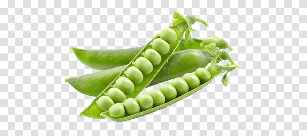 Green Peas Vatana, Plant, Vegetable, Food Transparent Png