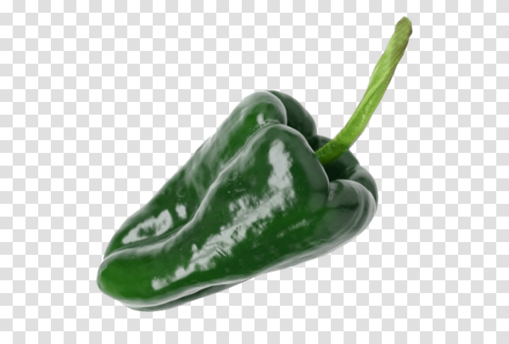 Green Pepper Chile Poblano, Plant, Vegetable, Food, Bell Pepper Transparent Png