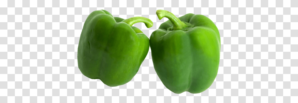 Green Pepper Green Bell Pepper, Tennis Ball, Sport, Sports, Plant Transparent Png