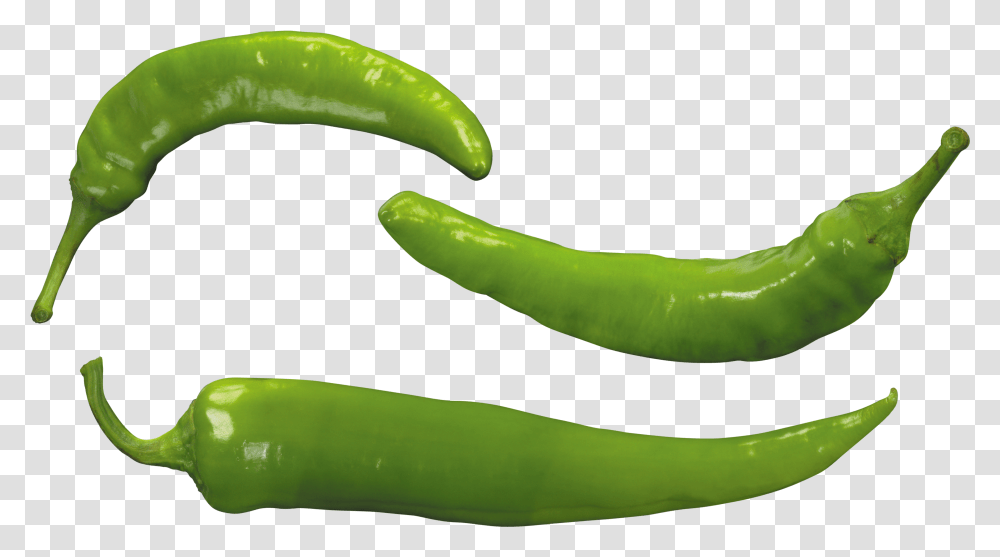 Green Pepper Image Green Pepper Transparent Png