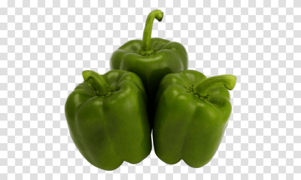 Green Peppers Green Peppers, Plant, Vegetable, Food, Bell Pepper Transparent Png