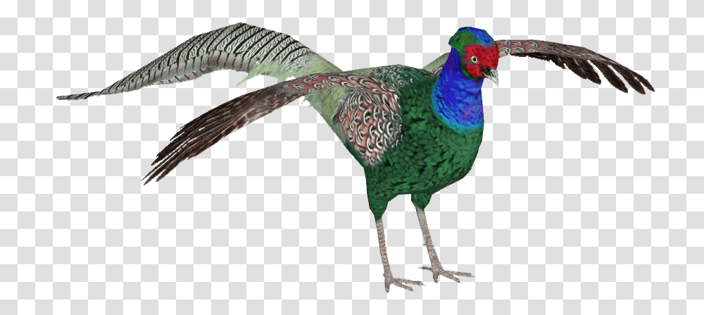 Green Pheastan Turkey, Bird, Animal, Peacock, Pheasant Transparent Png