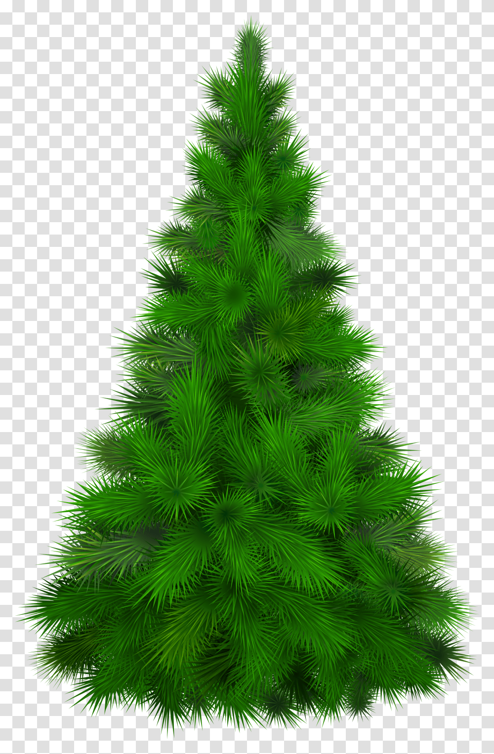 Green Pine Tree Clip Art Pine Tree Pine Tree Clipart Transparent Png