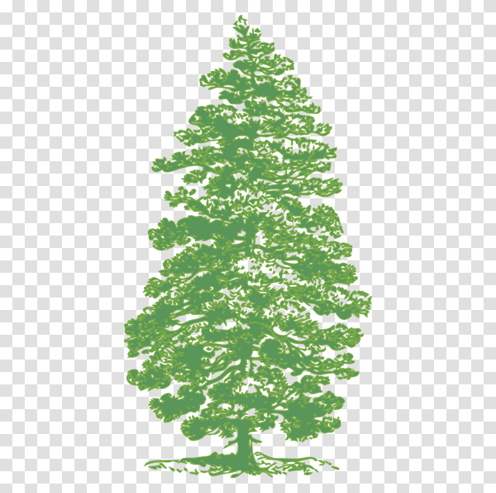Green Pine Tree Clip Art Vector Clip Art Brush Photoshop Pine Trees, Plant, Ornament, Conifer, Christmas Tree Transparent Png