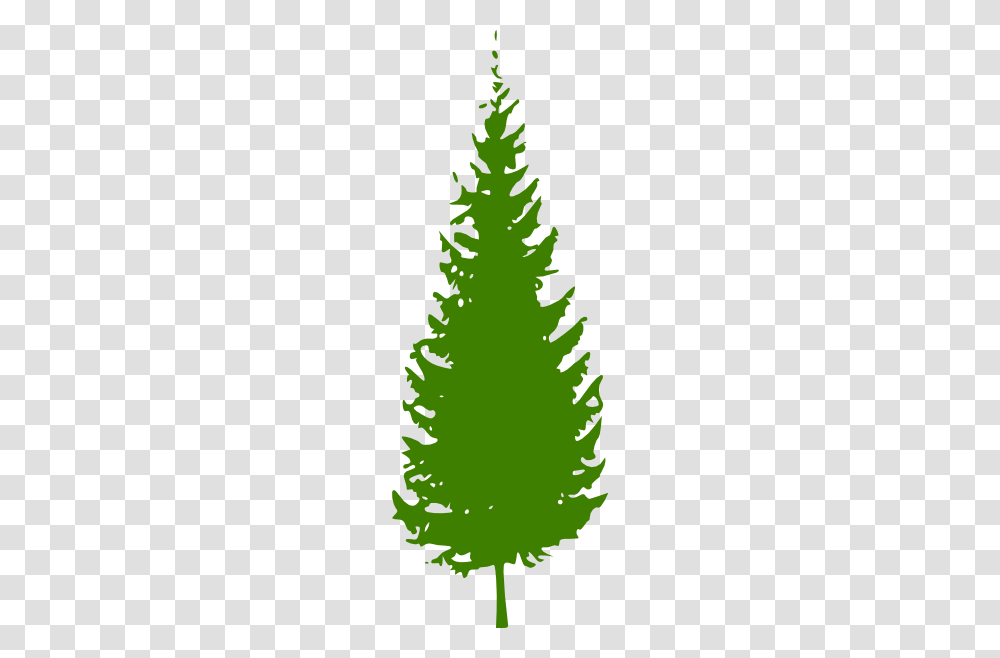 Green Pine Tree Clipart For Web, Christmas Tree, Ornament, Plant Transparent Png