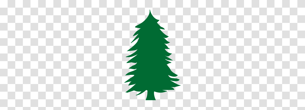 Green Pine Tree Silhouette, Plant, Christmas Tree, Ornament, Person Transparent Png