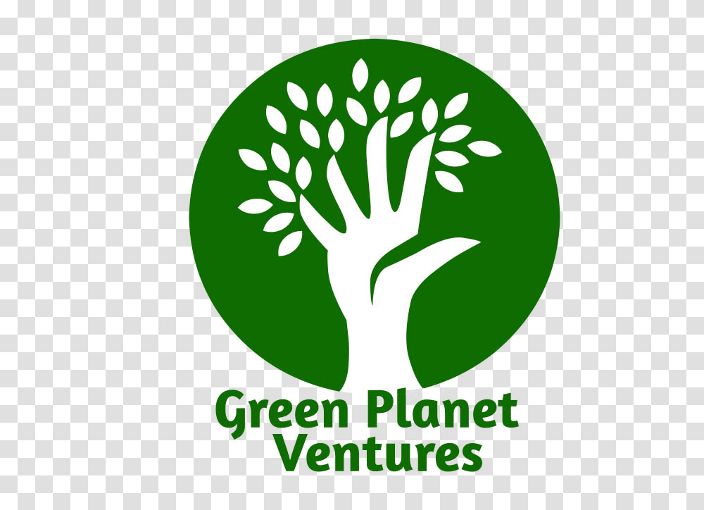 Green Planet Green Planet, Plant, Vegetable, Food, Cauliflower Transparent Png