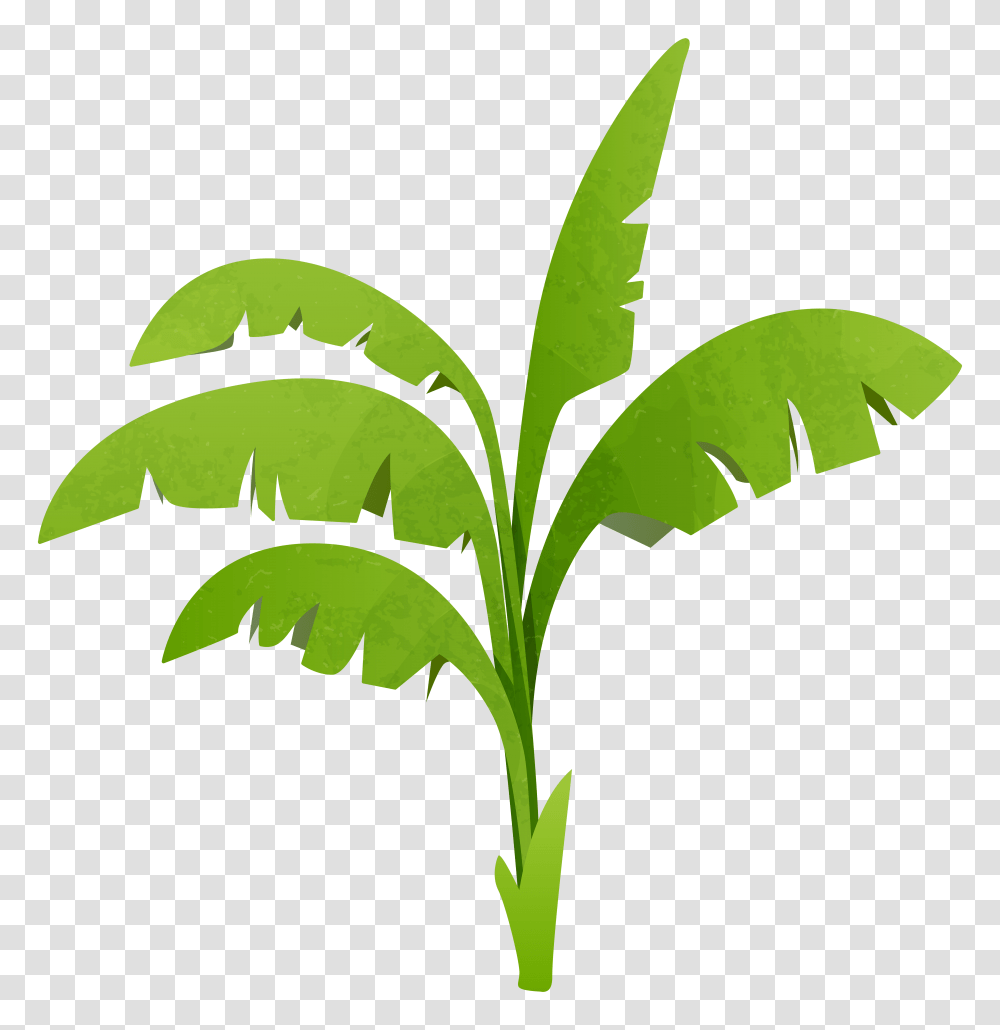 Green Plant Clipart, Leaf, Bamboo, Iris, Flower Transparent Png