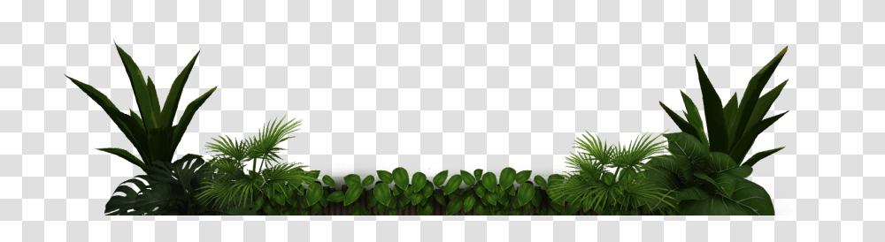 Green, Plant, Female, Flower Transparent Png