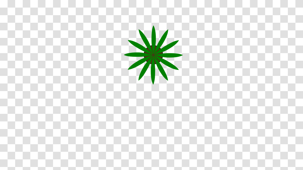 Green Plant Top View Vector Drawing, Flower, Blossom, Leaf, Daisy Transparent Png