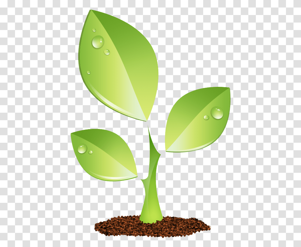 Green Plant Vector, Leaf, Sprout, Droplet, Seed Transparent Png
