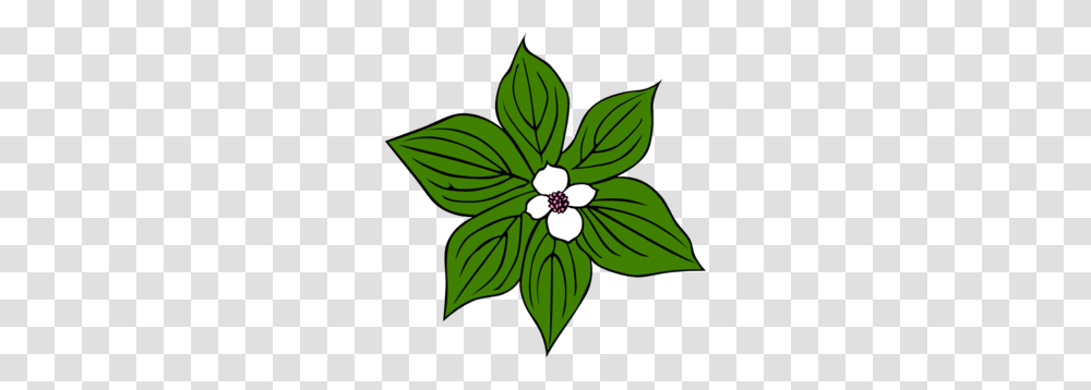 Green Plant With White Flower Clip Art, Leaf, Floral Design, Pattern Transparent Png