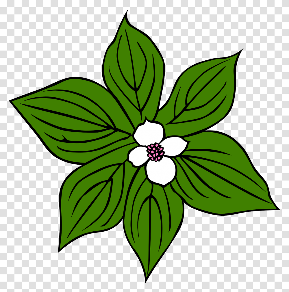 Green Plant With White Flower Svg Clip Arts Tropical Rainforest Plants Drawing, Leaf, Floral Design, Pattern Transparent Png