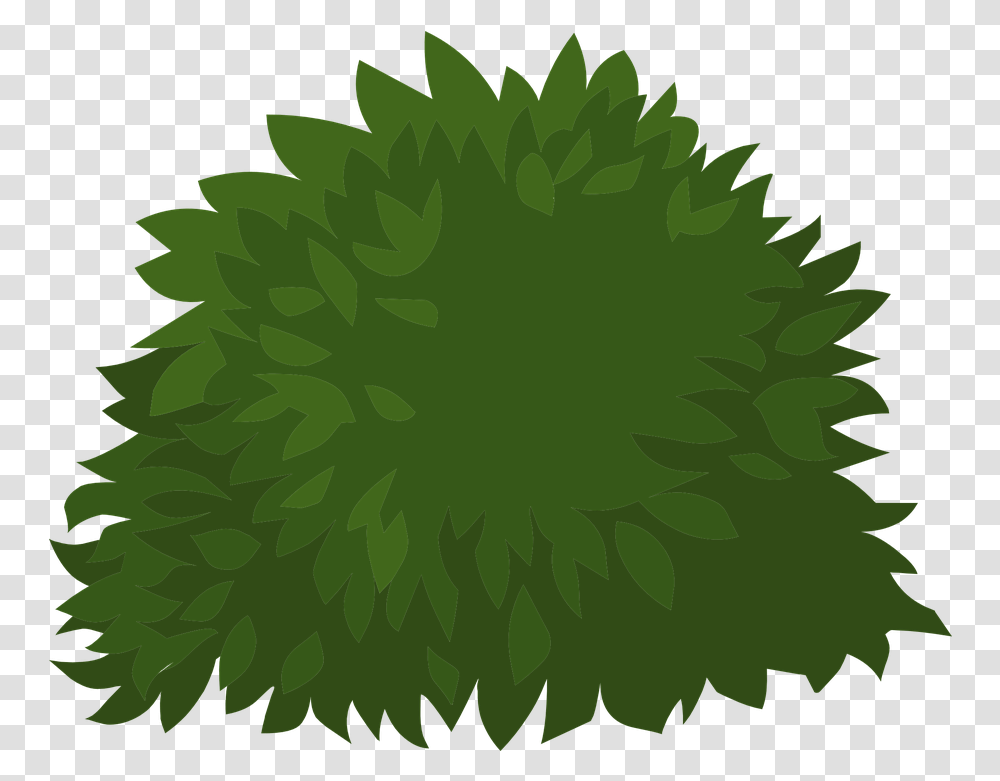 Green Plants Leaves Free Vector Graphic On Pixabay Busk, Leaf, Tree, Pattern, Annonaceae Transparent Png