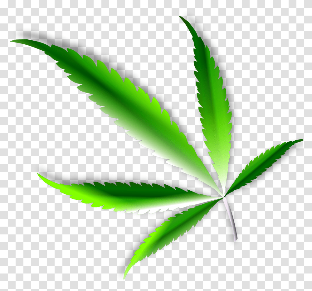 Green Pot Leaf, Plant, Weed, Hemp Transparent Png