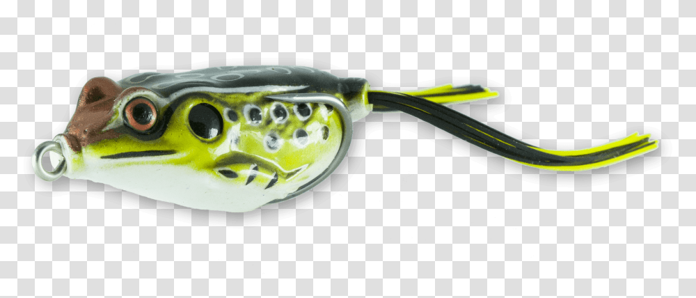 Green Pufferfish Download Green Topwater Frog, Animal, Sea Life, Outdoors, Fishing Lure Transparent Png