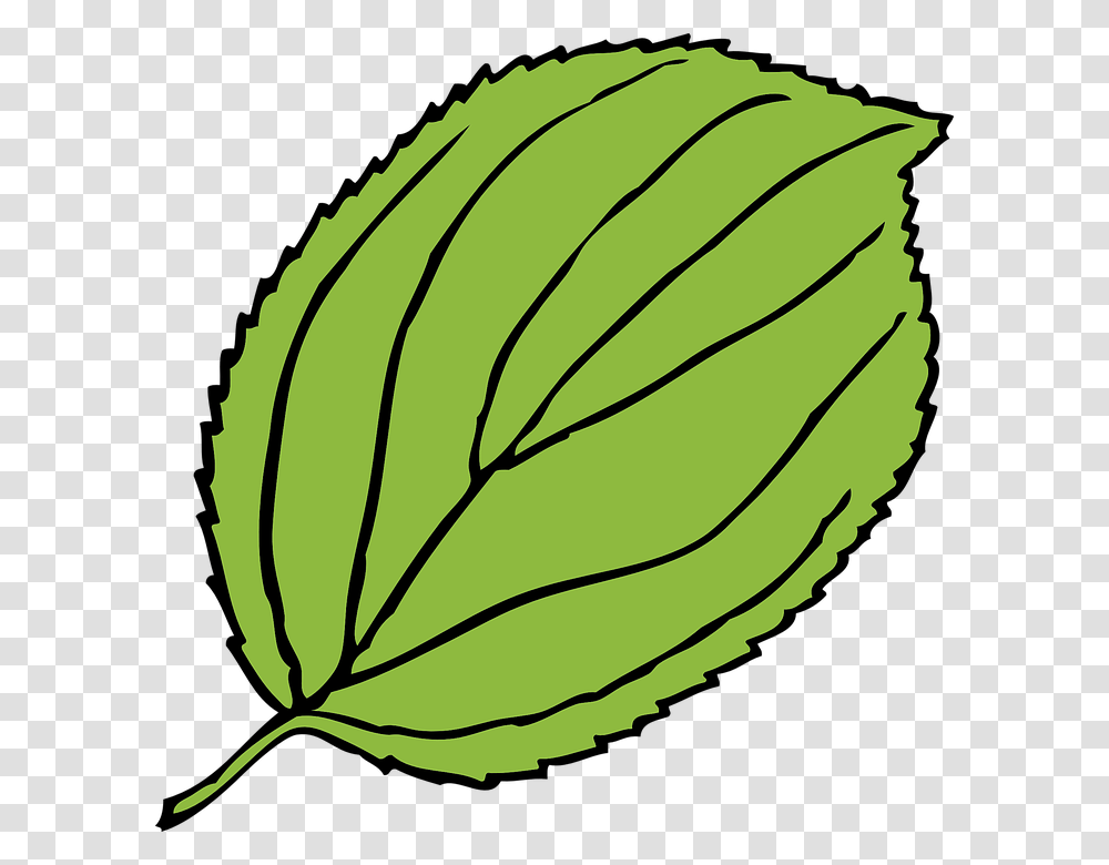 Green Pumpkin Leaf Clipart Leaf Clip Art, Plant, Potted Plant, Vase, Jar Transparent Png