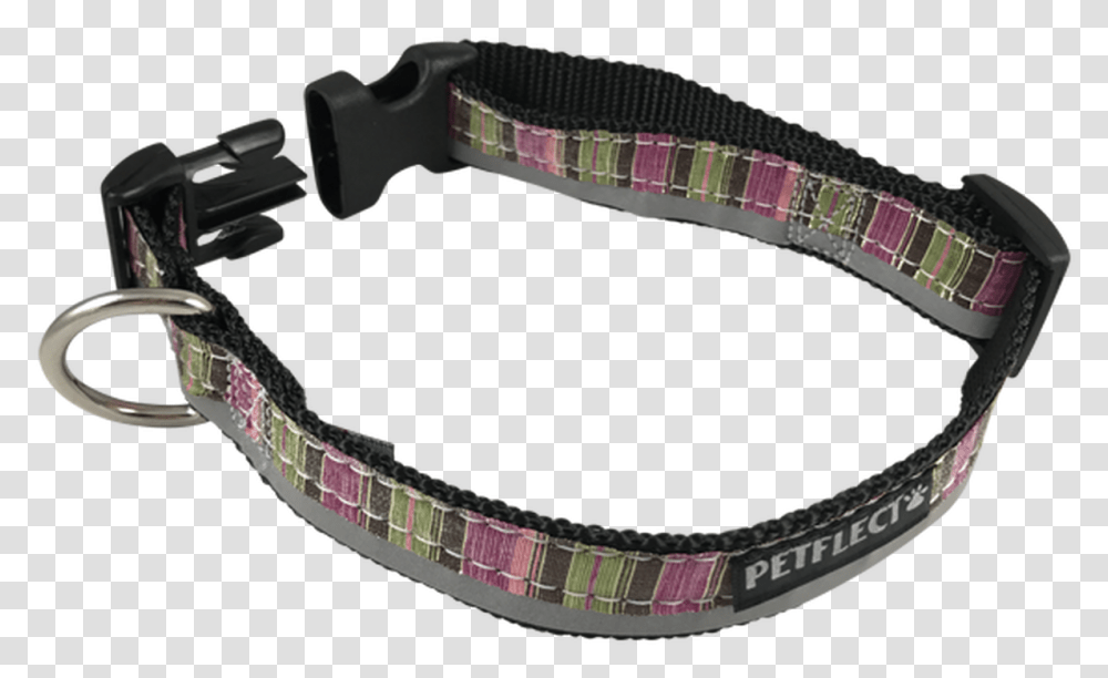 Green Purple Vertically Striped Dog Collar Strap, Accessories, Accessory, Belt Transparent Png