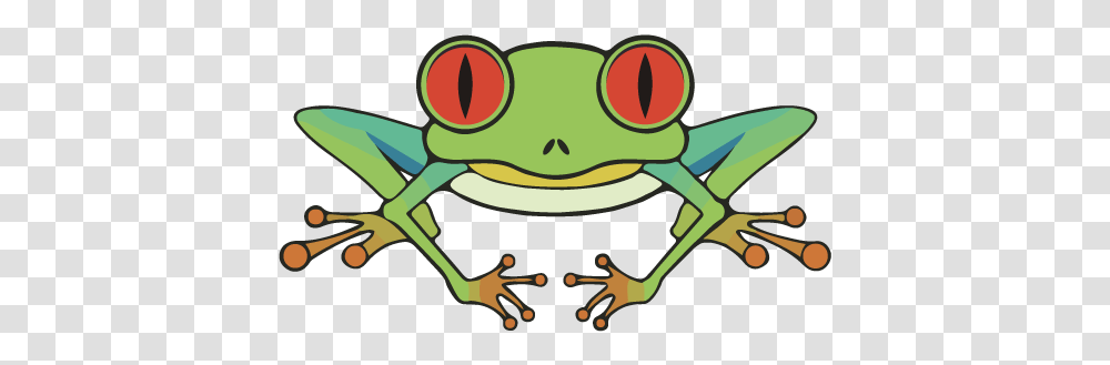 Green Red Eyed Tree Frog, Amphibian, Wildlife, Animal, Gun Transparent Png
