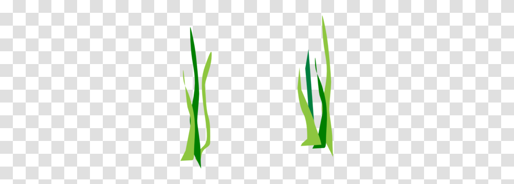 Green Reeds Clip Art, Plant, Produce, Food, Flower Transparent Png
