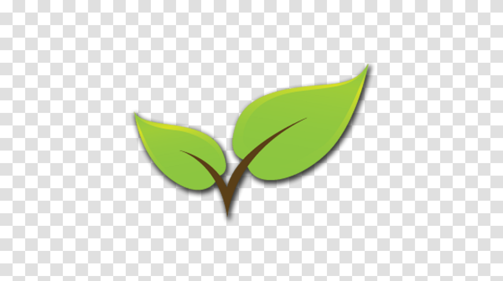Green Revolution On Twitter Dc Green Internship, Leaf, Plant, Flower, Sprout Transparent Png