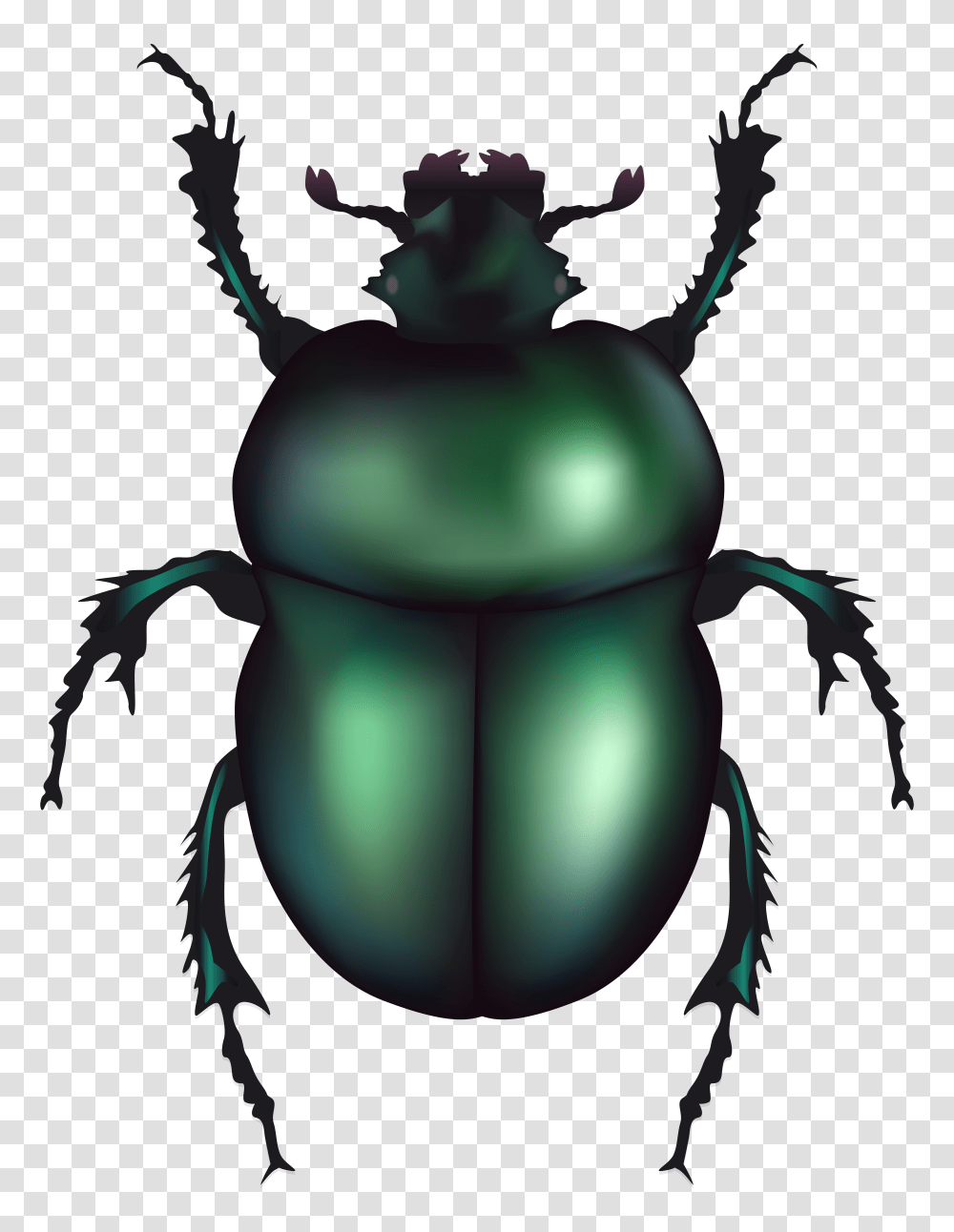 Green Rose Chafer Beetle Clip Art Transparent Png