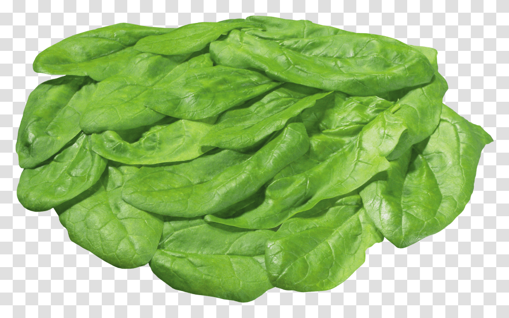 Green Salad Image Background Iceberg Lettuce Clipart Transparent Png