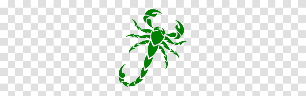 Green Scorpion Icon, Plant, Meal Transparent Png