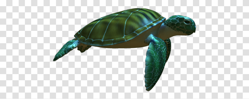 Green Sea Turtle Animation Turtle Download 960540 Penyu Hijau Penyu Animasi, Reptile, Sea Life, Animal, Tortoise Transparent Png