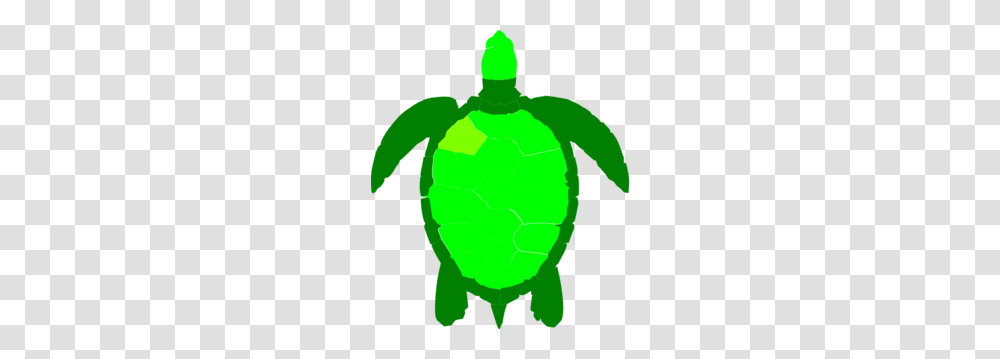Green Sea Turtle Clip Art, Tortoise, Reptile, Sea Life, Animal Transparent Png