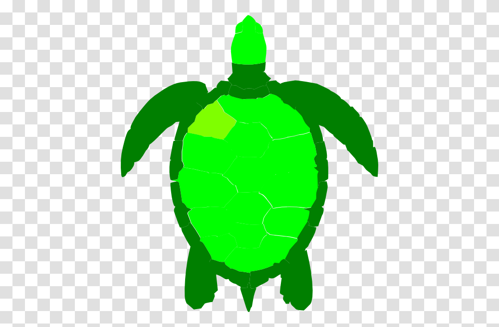 Green Sea Turtle Clip Art, Tortoise, Reptile, Sea Life, Animal Transparent Png