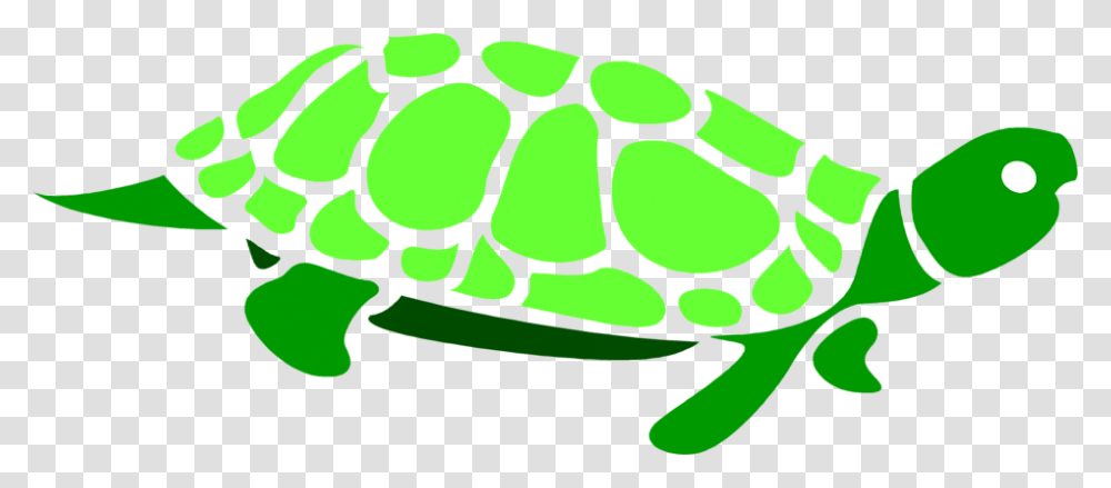 Green Sea Turtle Clip Art Turtle Clipart Clear Background, Amphibian, Wildlife, Animal, Frog Transparent Png
