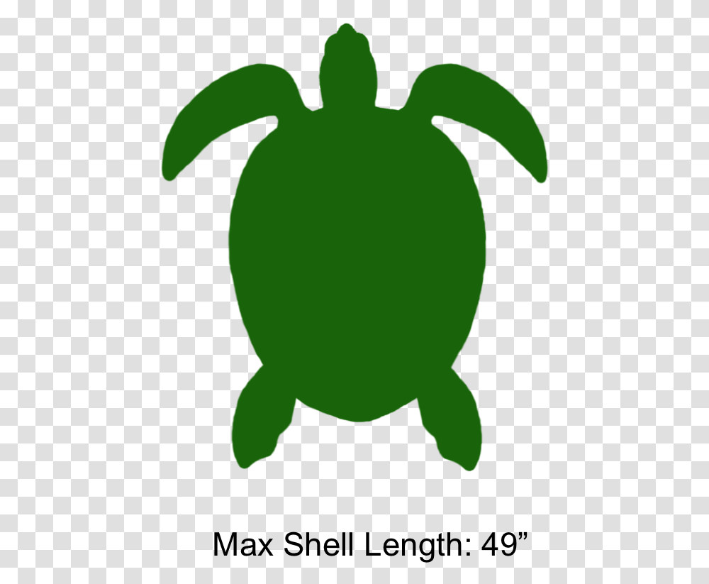 Green Sea Turtle Clipart Green Sea Turtle, Animal, Sea Life, Reptile, Tortoise Transparent Png