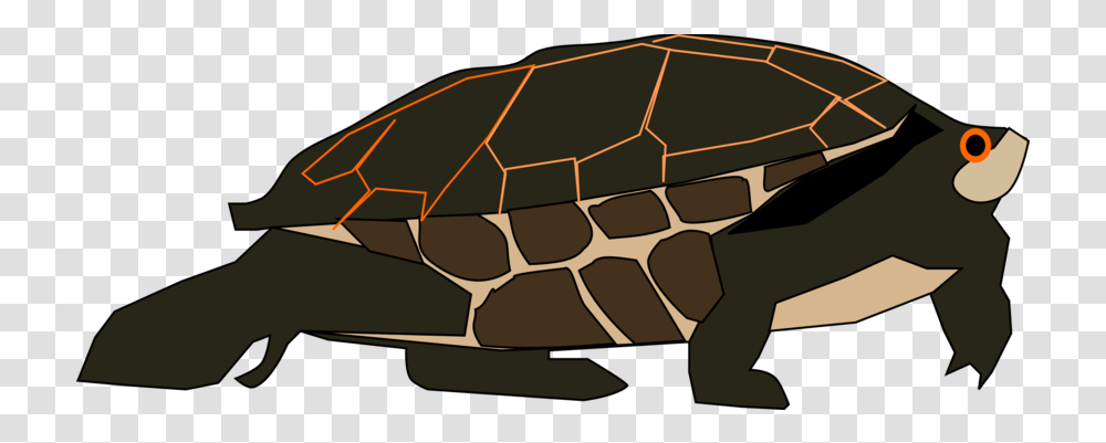 Green Sea Turtle Photo Background Gopher Tortoise, Reptile, Sea Life, Animal, Nature Transparent Png