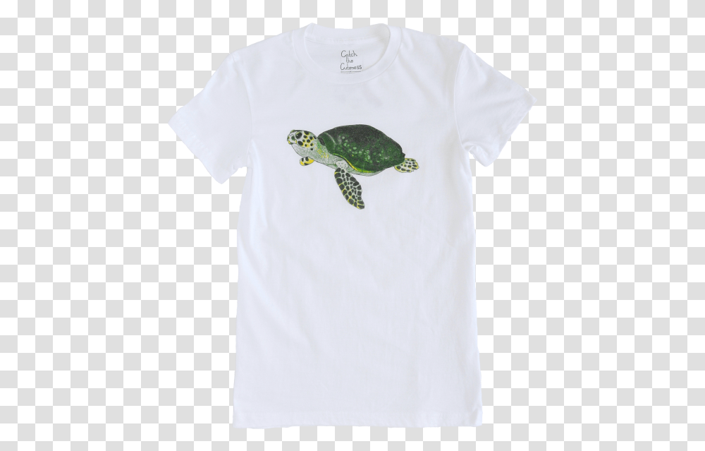 Green Sea Turtle, Reptile, Sea Life, Animal, Tortoise Transparent Png