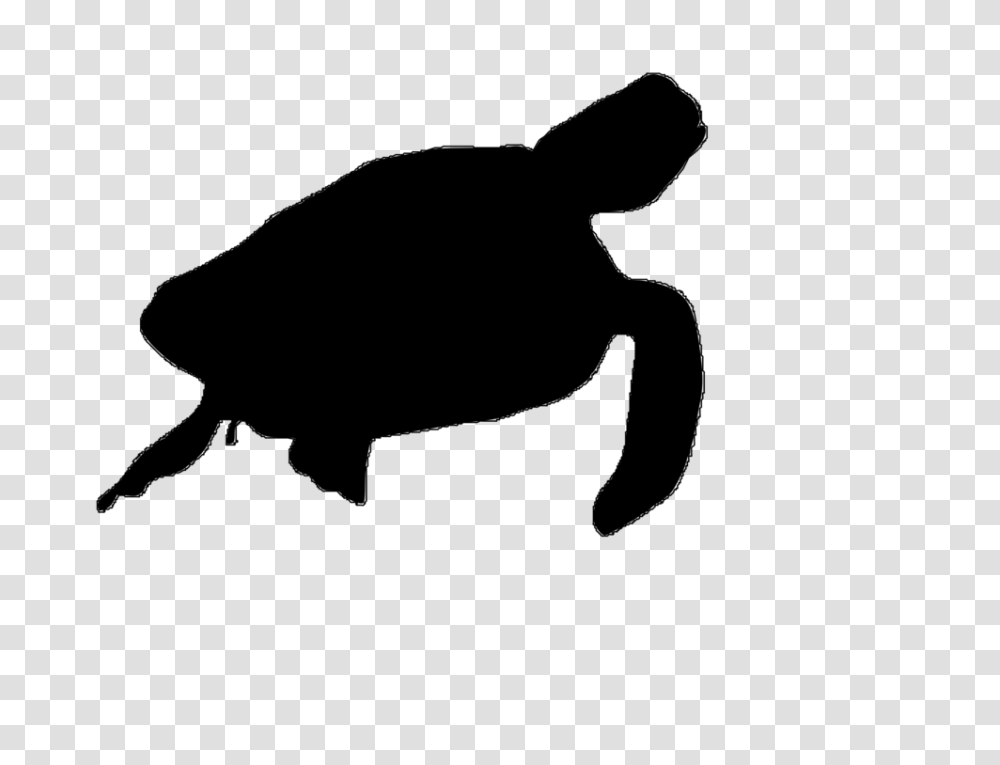 Green Sea Turtle Silhouette Art, Gray, World Of Warcraft Transparent Png