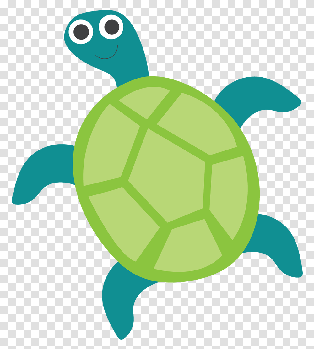 Green Sea Turtle, Tennis Ball, Sport, Sports, Tortoise Transparent Png